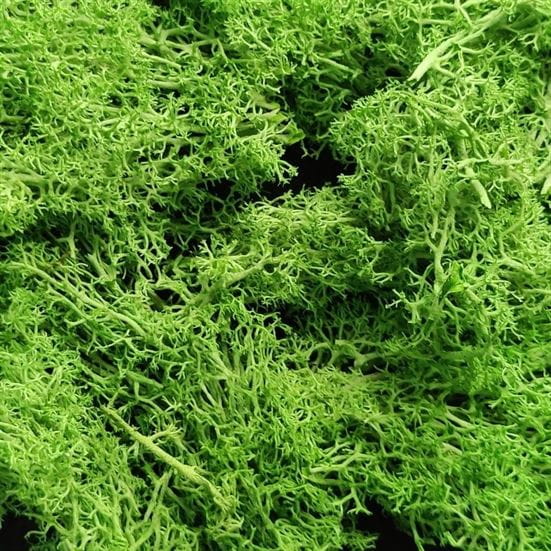 Artificial Foam Green Moss