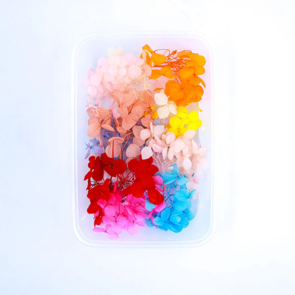 Hydrangea Dry Flower