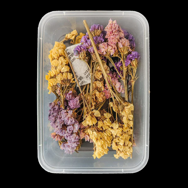 Multi Dries Statice Flower