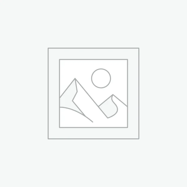 12 In 1 Multi Pressed Dry Daisy Flowers